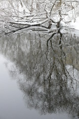 Снег. Мороз. Река.