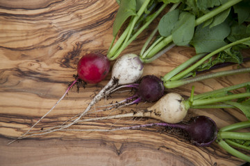 mix of fresh radish different taste