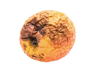 Old rotten and wrinkled apple isolated on white background