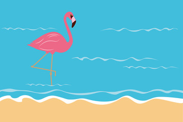 rosa flamingo steht im wasser am strand