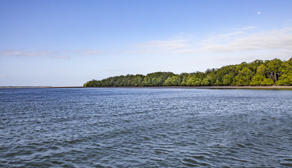 coastline in the escape river in the australian outback of Queensland, one of the most remote spots on the Australian continent