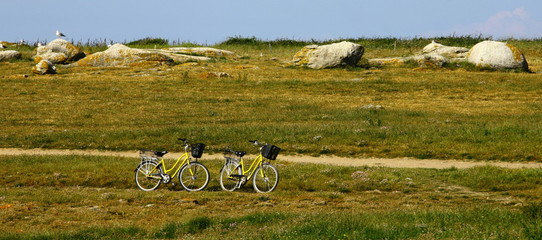 promenade à véloà l'île d'yeu
