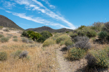 Mountains under the blue sky in the desert of almeria