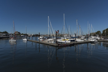 Fototapeta na wymiar Boats at a harbor, Victoria, Vancouver Island, British Columbia, Canada
