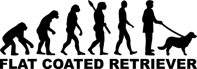 Flat Coated Retriever evolution word
