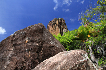 Interior of Curieuse Island, Seychelles