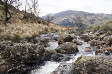 Fototapeta na wymiar Rocky Stream Flowing through Countryside 