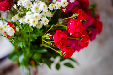 Obraz premium Bright bouquet of different colors
