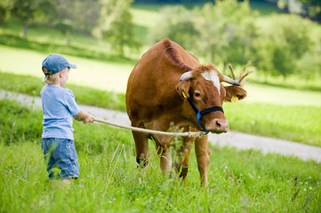 Kind führt Kuh auf eine Wiese