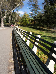 Long Bench at Central Park NYC USA