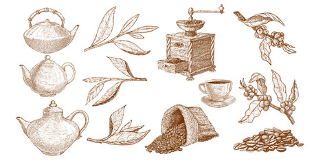 Coffee set with coffee and tea plants, grinder and pots illustration in hand drawn style, engraving.