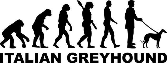 Italian Greyhound evolution word
