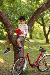 Schoolboy sits  on the  tree in an apple garden or the forest.  He reads a book,  near a tree...