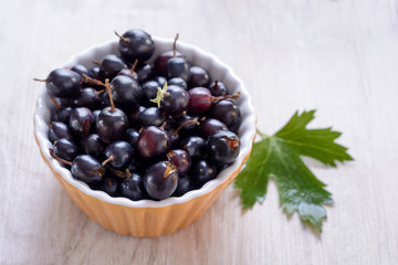 Berries of black currant in a yellow ceramic bowl on a light background