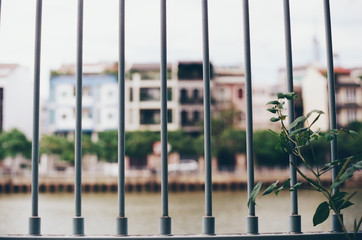 Obraz premium Vintage lanscape