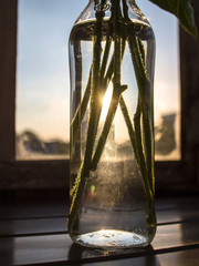 Stems of flowers in a glass bottle close up.