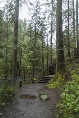 Hiking  in Vancouver