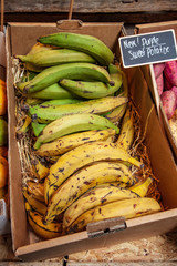 front view of bananas in cardboard box on market place with signboard near