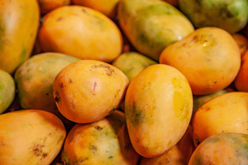 selective focus of pile of yellow mangoes