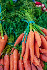selective focus of carrots with green leaves