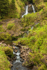 Beautiful Little Waterfall near Hana MAui
