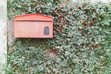old red mail box on nature green tree background.