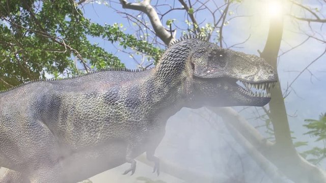 animate a running dinosaur Tyrannosaurus Rex 3d render in the jungle