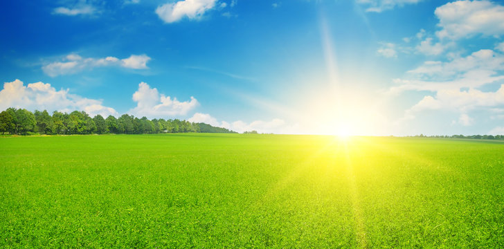 Green field and sun rise in the blue sky. Wide photo.