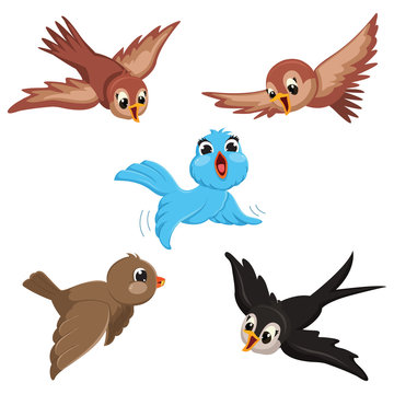 Vector Illustration Of Cartoon Birds Stock Vector | Adobe Stock