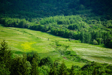 Fototapeta na wymiar Marvelous landscape with forest, Armenia
