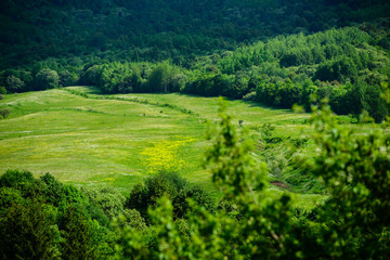 Fototapeta na wymiar Marvelous landscape with forest, Armenia