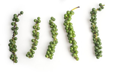 fresh green pepper on white background