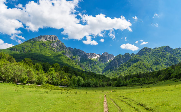 National Park of Abruzzo, Lazio and Molise (Italy) - The spring in the italian mountain natural reserve, with landscapes, wild animals, little old towns, the Barrea Lake and Camosciara park