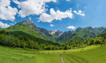 National Park of Abruzzo, Lazio and Molise (Italy) - The spring in the italian mountain natural reserve, with landscapes, wild animals, little old towns, the Barrea Lake and Camosciara park