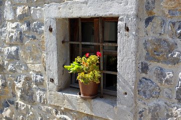 Fototapeta na wymiar petit fenêtre bucolique fleurie d'un géranium