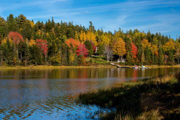 Autumn along a slow moving river.