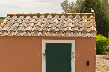 Front view of a vintage, historical plump house,  a green, wood door of a forth generation winery...