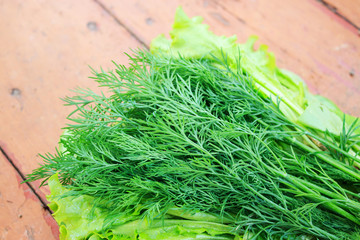 Fresh salad and dill on an old board. The harvest of spicy herbs.