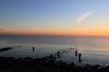 Meerforellen angeln an der Ostsee