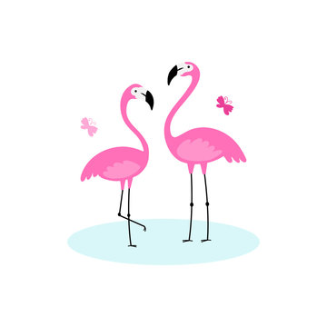 Pink flamingos.