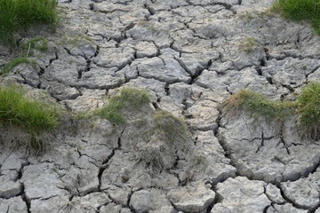 dry cracked earth