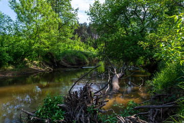 Rzeka Grabia w centralnej Polsce. © Senatorek