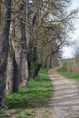 wanderweg
