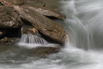 wildes Wasser