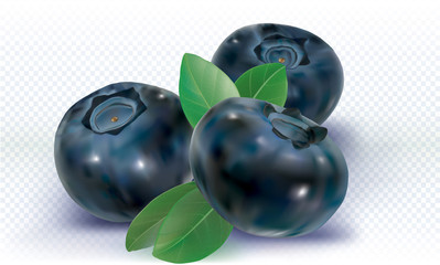 Three Blueberries