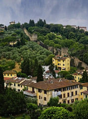 Fototapeta na wymiar The Florence Wall , Italy