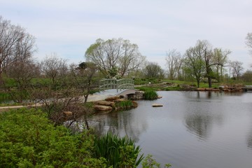 Fototapeta na wymiar The walkway bridge over the pond on a overcast day.