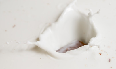 Chocolate falls in milk