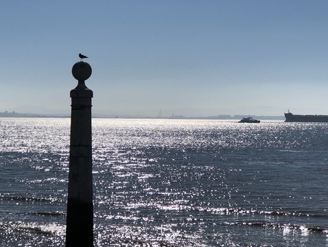 Rio Tejo 