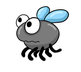 Confused Fly
